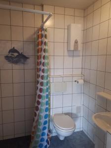 DriedorfFeWo Ruppel的一间带卫生间和淋浴帘的浴室