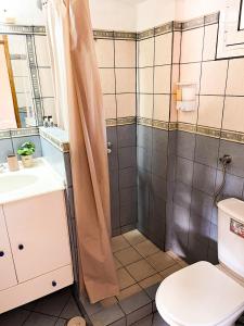阿尔加拉斯蒂Your Home in Argalasti的带淋浴和卫生间的浴室