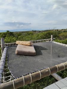 比利亚维哈biohotel tatacoa Qji的田野顶部带枕头的吊床