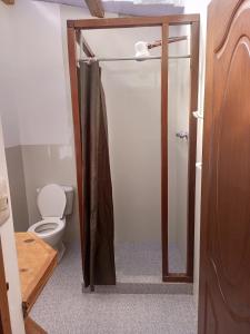 Comunidad YumaniCAMPO SANTO的一间带卫生间和玻璃淋浴间的浴室