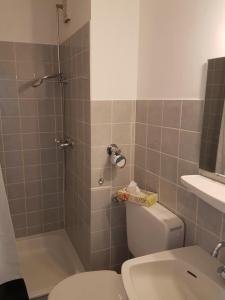 达默Strandhotel Wohnung 62的浴室配有卫生间、淋浴和盥洗盆。