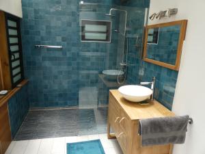 珀蒂蒂勒LE TUIT TUIT的蓝色瓷砖浴室设有水槽和淋浴