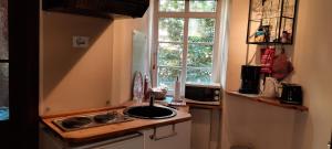 美因茨罗素街老城公寓的厨房设有水槽和窗户。