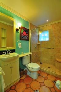 总督港Villa Allamanda, Eleuthera的浴室配有卫生间、盥洗盆和淋浴。