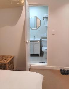 首尔SSH Ikseon peter cat Hostel的一间卧室,浴室内设有卫生间和镜子