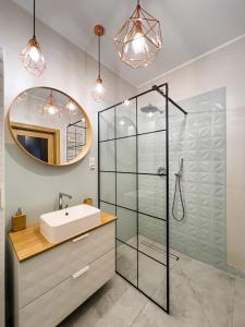 科希切日纳Apartament na Kaszubach的一间带水槽和镜子的浴室