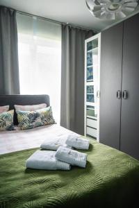 科希切日纳Apartament na Kaszubach的一间卧室配有一张带两个枕头的床