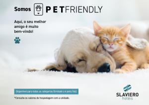 弗洛里亚诺波利斯Slaviero Baia Norte Florianópolis的一只狗和一只猫彼此相邻