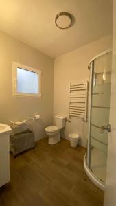 托莱多Alojamiento en el centro de Toledo的一间带卫生间和玻璃淋浴间的浴室