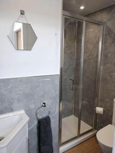 因纳利森Braeside Innerleithen Apartment的带淋浴、卫生间和盥洗盆的浴室