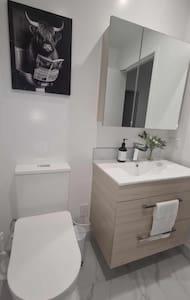 基督城Lovely Central City Apartment St Asaph Street 102的一间带卫生间、水槽和镜子的浴室