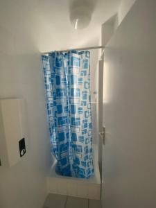 美因茨Mainz Apartment near cetral station的浴室内有蓝色和白色的浴帘