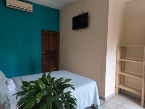 San BenitoHotel y Restaurante Casa Jardines的卧室配有植物和墙上的电视