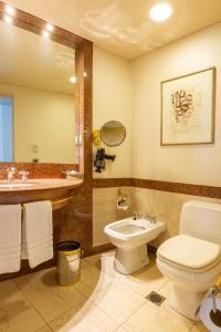 科尔多瓦Quinto Centenario Hotel的一间带卫生间、水槽和镜子的浴室