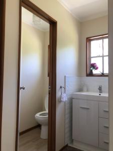 派西亚Horse Shoe Manor的一间带卫生间、水槽和镜子的浴室