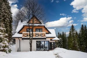 新塔尔格Jankówki - Dom w górach的雪中有一棵树的房子