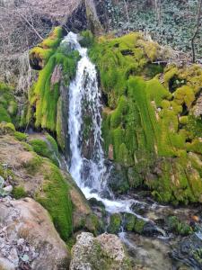 Saint-Jean-de-la-PorteLe St Jean Bis的 ⁇ 苔覆盖的岩石边的瀑布