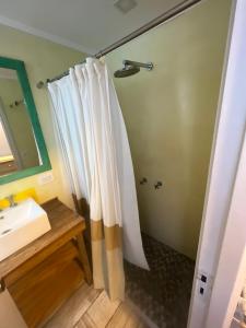 马德普拉塔Habitaciones Garay 3100的浴室配有淋浴帘和盥洗盆。
