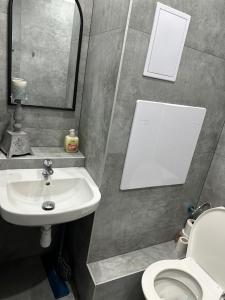 布雷兹诺Útulný byt Brezno v Nízkych Tatrách的一间带水槽、卫生间和镜子的浴室