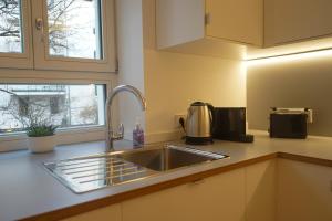 耶拿Appartement House Jena的厨房配有水槽和台面上的咖啡壶