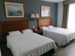 巴耶斯城华斯特卡塞拉酒店的两张位于酒店客房的床,配有两张sidx sidx单人床