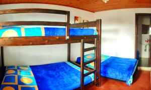 萨兰托Casa San Pedro - Salento的配有蓝色床单的客房内的两张双层床