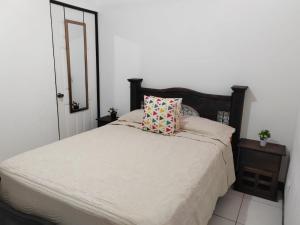 DesamparadosGran Hotel Desamparados的一间卧室配有一张带枕头和镜子的床