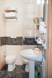 罗马罗坎达阿尔维米纳尔旅馆的一间带卫生间和水槽的小浴室