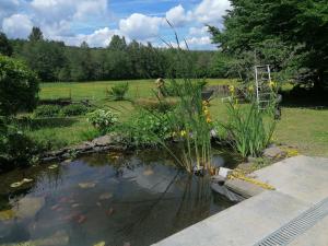 库万La Libellule的花园内设有一个放风筝的池塘