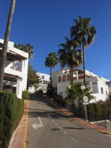 莫哈卡尔Las Palmeras del Cantal的一条种有棕榈树的街道和白色的房子