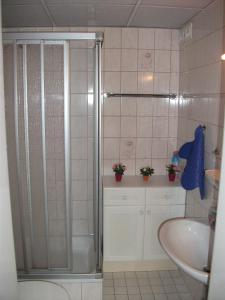 巴特彼得斯塔尔-格里斯巴赫克里斯塔公寓的带淋浴和盥洗盆的浴室