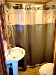 BenzoniaBenzonia Rustic Resort的浴室配有淋浴帘和盥洗盆。