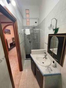 蒙扎Casa vacanze SMA93的一间带水槽、淋浴和镜子的浴室
