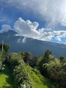 巴尼奥斯First Class Hotel en Baños - Ciudad Volcan的享有树木和云层的山脉美景