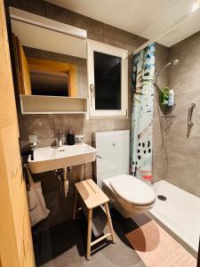 茨韦西门Chalet Solaria 2 bedrooms with mountain and garden view的一间带卫生间和水槽的小浴室