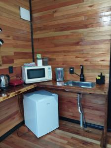 乌鲁比西Recanto do Ipê (cabana 02)的厨房配有带微波炉和水槽的台面