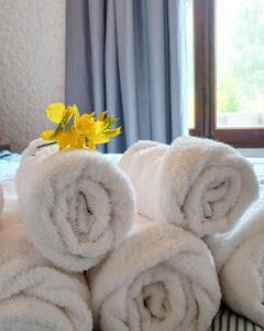 波特雷里约斯El Torreón Lodge的床上的一大堆毛巾,上面有黄色的花