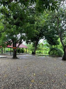 Apartaestudio Villa Mary-Aguachica外面的花园