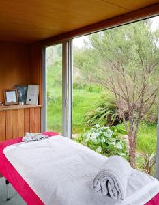 凯里凯里Down to earth NZ的卧室在窗户前配有一张床