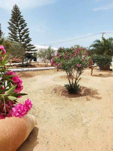 Djerbavilla a djerba的一座种有粉红色花卉和树木的花园以及一座建筑