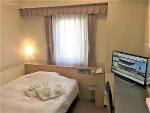 高冈市Hotel Alpha-One Takaoka的配有一张床和一台平面电视的酒店客房