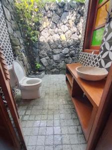 巴图卡拉Villa Embun Batukaras的一间带卫生间和石墙的浴室