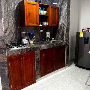 卡塔赫纳Apartamentos San José的厨房配有木制橱柜、水槽和冰箱。