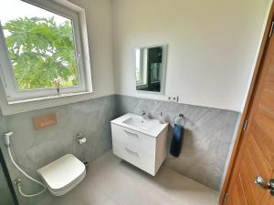 平圭Tropical Gem: 3-BR Beach Villa的一间带水槽和卫生间的浴室以及窗户。