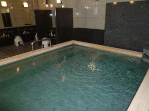 米子市Hotel Alpha-One Yonago的浴室里有一个大池水