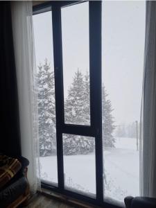 GoderdziCottage SuBree on Goderdzi的窗户享有雪覆盖的树木景致