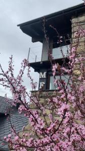 利维亚Mas Farner - Adults Only的一座建筑物前有粉红色花的树