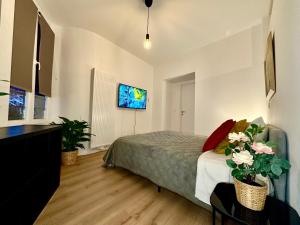 蒙斯Luxury Suites Mons的卧室配有一张床,墙上配有电视。