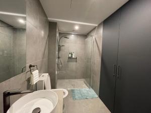 堪培拉New modern 1BR apt near Dickson的浴室配有淋浴间和卫生间。