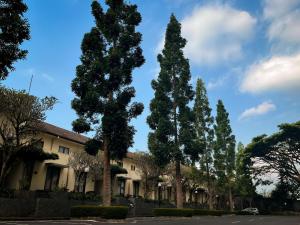 万隆普里塞缇阿布迪旅馆的建筑物前的一排树木